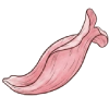 花瓣